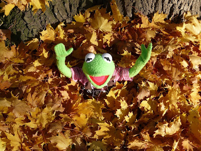 Kermit the Frog puppet lying in a pile of autumn leaves with arms raised