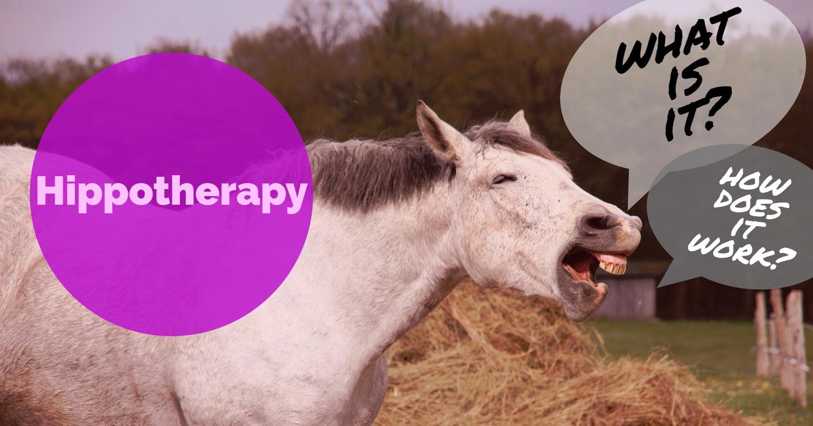 Hippotherapy: What is it? How does it work?