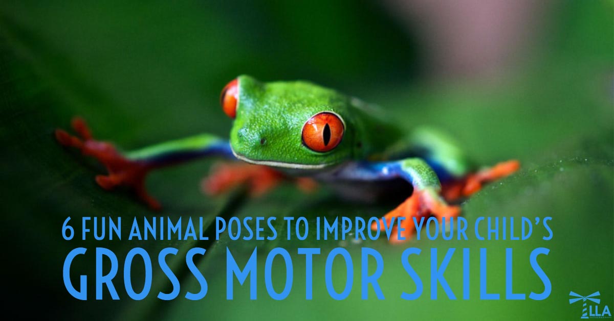 Graphic reading 6 Fun Animal Poses to Improve Your Child's Gross Motor Skills over a red-eyed tree frog