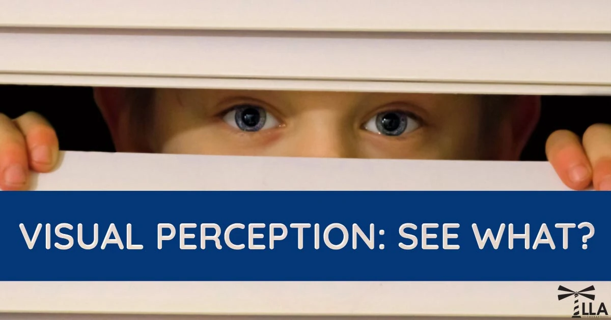Visual Perception: See What?