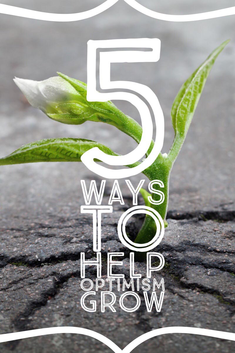 5 Ways to Help Optimism Grow