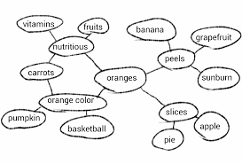 Word web with oranges at the center connected to fruits, peels, slices, pie, apple, basketball, pumpkin and other related words